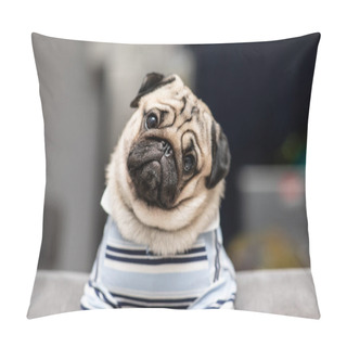 Personality  Cute Dog Pug Breed Have A Question And Making Funny Face Feeling So Happiness And Fun,Selective Focus Pillow Covers