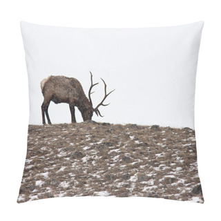 Personality  Bull Elk Pillow Covers
