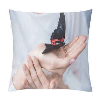 Personality  Cropped View Of Girl With Beautiful Alive Butterfly In Hands, Isolated On Grey Pillow Covers