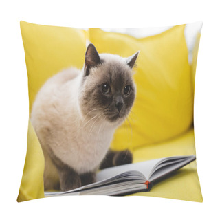 Personality  Cat Sitting On Open Notebook On Yellow Sofa, Blurred Background Pillow Covers