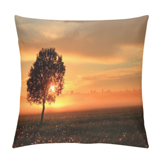 Personality  The Sheaf Of Hay At Dawn, Novgorod Region ,Russia Pillow Covers