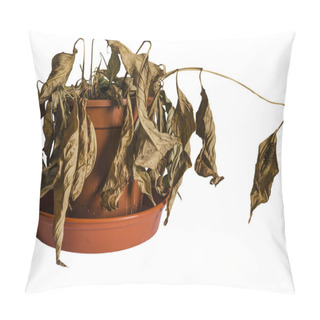 Personality  Dead Plant Pillow Covers