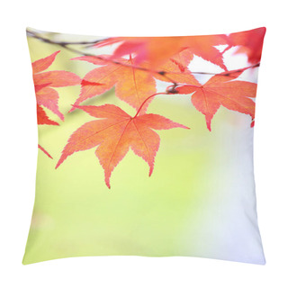 Personality  Maple Leaves Background Pillow Covers