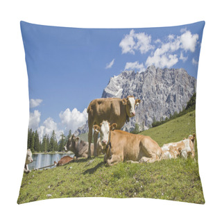 Personality  Pasture Idyll On Seeebensee Lake Pillow Covers