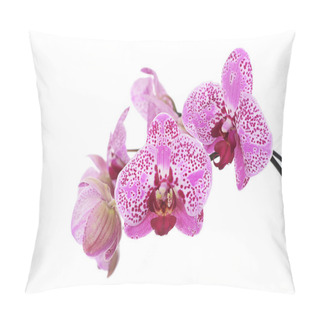 Personality  Flowers Of Lilac Orchid Isolated On White Pillow Covers