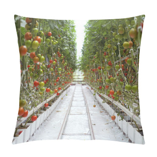 Personality  Tomatoes Pillow Covers