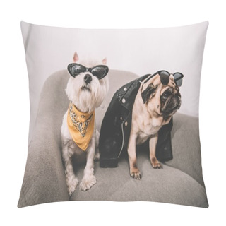 Personality  Stylish Dogs In Sunglasses Pillow Covers