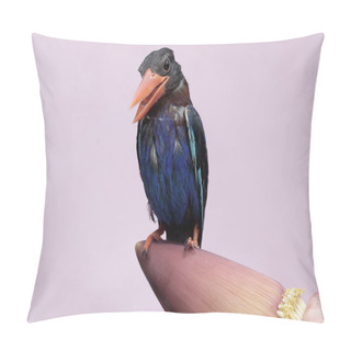 Personality  A Javan Kingfisher Is Resting On A Banana Tree Flower That Grows Wild. This Carnivorous Bird Has The Scientific Name Halcyon Cyanoventris. Pillow Covers