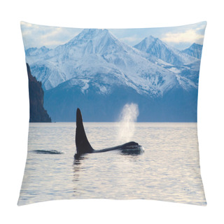 Personality  Killer Whale Pillow Covers
