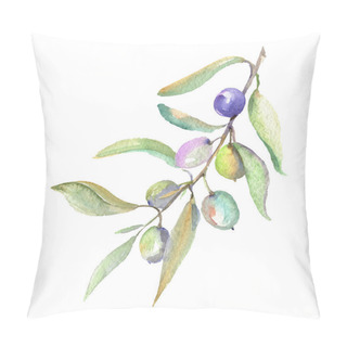 Personality  Olive Branch With Green Fruit And Leaves Isolated On White. Watercolor Background Illustration Set.  Pillow Covers