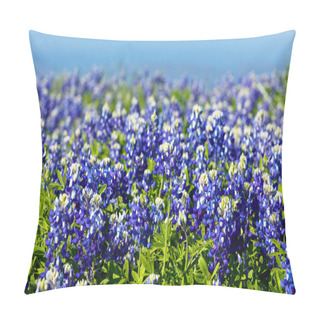 Personality  Pretty Texas Bluebonnets Pillow Covers