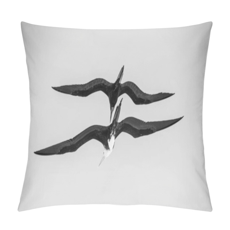 Personality  Birds Flying In Tulum, Riviera Maya , Mexico Pillow Covers