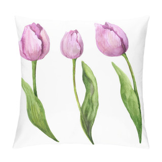 Personality  Watercolor Pink Tulips. Beautiful  Flowers On A White Background. Watercolor Tulips Sketch. Watercolor Nature. Bouquet Of Tulips. Watercolor Illustration With Flowers. Flowers For Creating Postcards Pillow Covers
