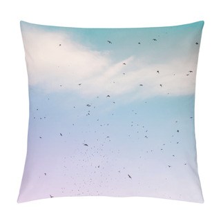 Personality  A Flock Of Migratory Birds In The Blue Sky Pillow Covers