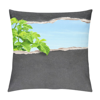 Personality  Go Green Pillow Covers