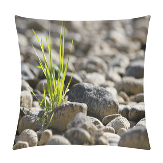 Personality  Single Tuft Of Grass In Stone Desert Pillow Covers