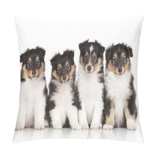 Personality  Group Of Shelti Puppies Pillow Covers