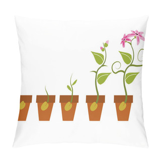 Personality  Phases Of Growth Of A Plant  Pillow Covers