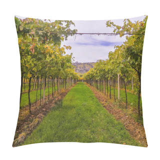 Personality  Scenic View Of The Freshly Harvested Grape Fields In Autumn In Valpolicella Pillow Covers
