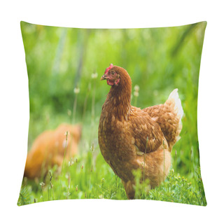 Personality  Chicken Pillow Covers