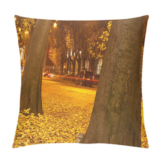 Personality  Dried Leaves On The Street Pillow Covers