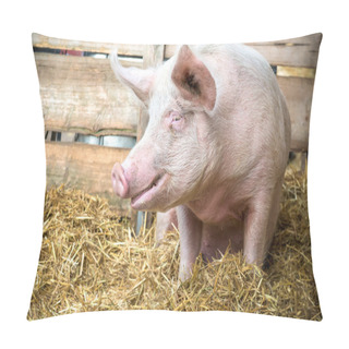 Personality  Pig On Hay And Straw Pillow Covers