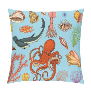Personality  Fishes Set Or Sea Creature Nautilus Pompilius, Jellyfish And Starfish. Octopus And Squid, Calamari. Dolphin And Hammerhead Shark. Green Turtle And Seahorse. Engraved Hand Drawn In Old Vintage Sketch. Pillow Covers