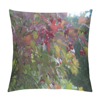 Personality  Autumn Composition With Leaves And Fruits Of Viburnum In The Sunlight. In Shades Of Green And Red. Pillow Covers