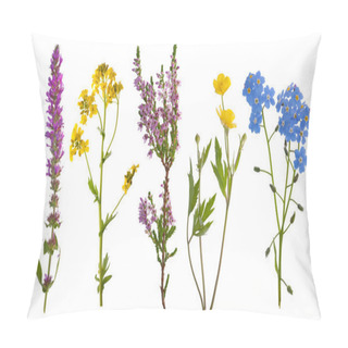 Personality  Five Wild Flowers Isolated On White Pillow Covers