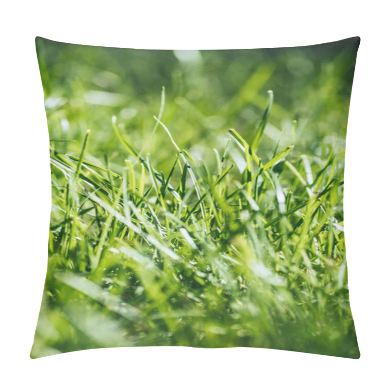 Personality  close-up view of fresh green grass, selective focus pillow covers