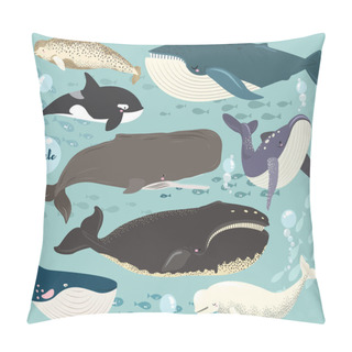 Personality  Marine Animal Whale Species Collection Set Pillow Covers