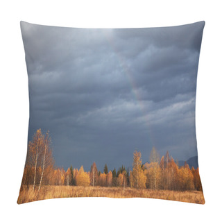 Personality  Autumn Forest And A Rainbow Pillow Covers