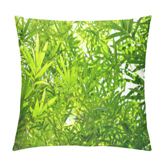 Personality  Tropical Bamboo Leaves Pillow Covers