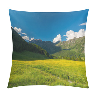 Personality  Blooming Alpine Meadow And Lush Green Woodland Set Amid High Altitude Mountain Range At Sunsets. Valle D'Aosta, Italian Alps. Pillow Covers