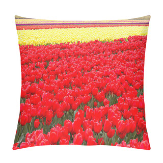 Personality  Tulip Fields In Farmland With Stripes Of Yellow And Red Tulips Pillow Covers