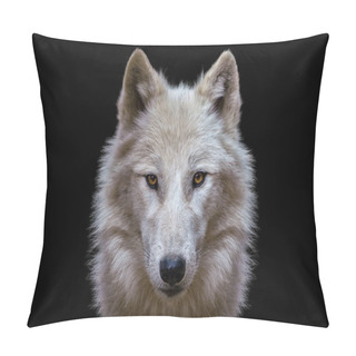 Personality  Portrait Of Arctic Wolf Isolated On Black Background. Polar Wolf. Pillow Covers