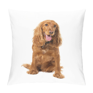 Personality  Charming English Cocker Spaniel Pillow Covers