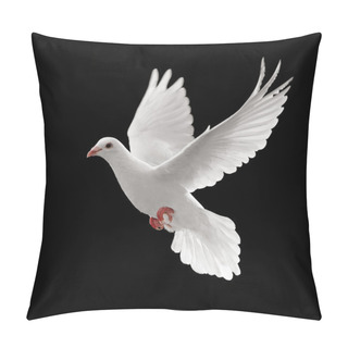 Personality  Pigoen Flying Pillow Covers