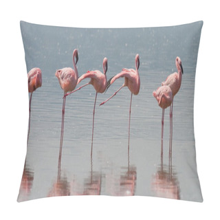 Personality  Pink Flamingos Outdoors Pillow Covers