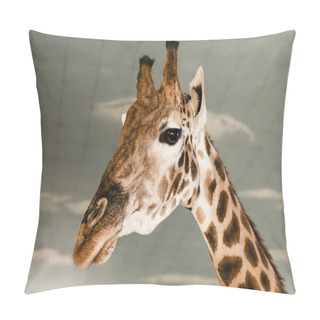 Personality  Cute And Tall Giraffe In Zoo  Pillow Covers