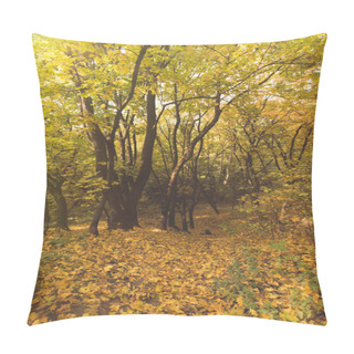 Personality  Beautiful Autumn Forest Pillow Covers