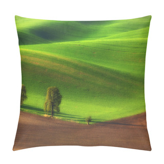 Personality  Tree Family Pillow Covers