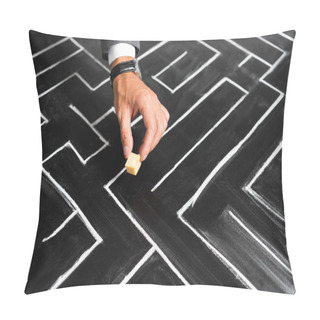 Personality  Cropped View Of Businessman Putting Cut Cheese On Labyrinth Pillow Covers