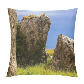 Personality  LION FOUND IN EAST AFRICAN NATIONAL PARKS Pillow Covers