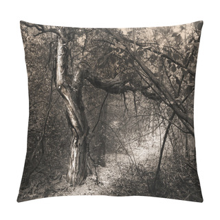 Personality  Fantasy Tree In Forest Pillow Covers
