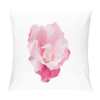 Personality  Pink Oleander Flower Isolated  Pillow Covers
