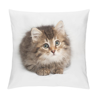 Personality  Fluffy Siberian Striped Kitten Lies On Gray  Pillow Covers