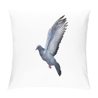 Personality  Movement Scene Of Rock Pigeon Flying In The Air Isolated On White Background With Clipping Path Pillow Covers