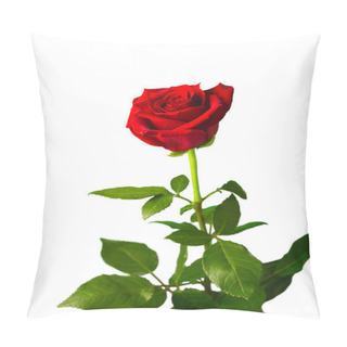 Personality  One Flower Of Red Rose On Isolated White Background Pillow Covers