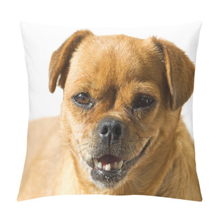 Personality  Doggy Portrait Pillow Covers